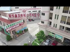 গুয়াংডং সানকিংস ইলেকট্রিক কোং লিমিটেড