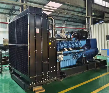 কেনা 1800kVA 1440KW সন্তোষজনক ডায়নামো এলপিজি জেনারেটর গ্যাস জেনারেটর শিল্প শক্তি সরবরাহের জন্য প্রাকৃতিক গ্যাস সেট online manufacture